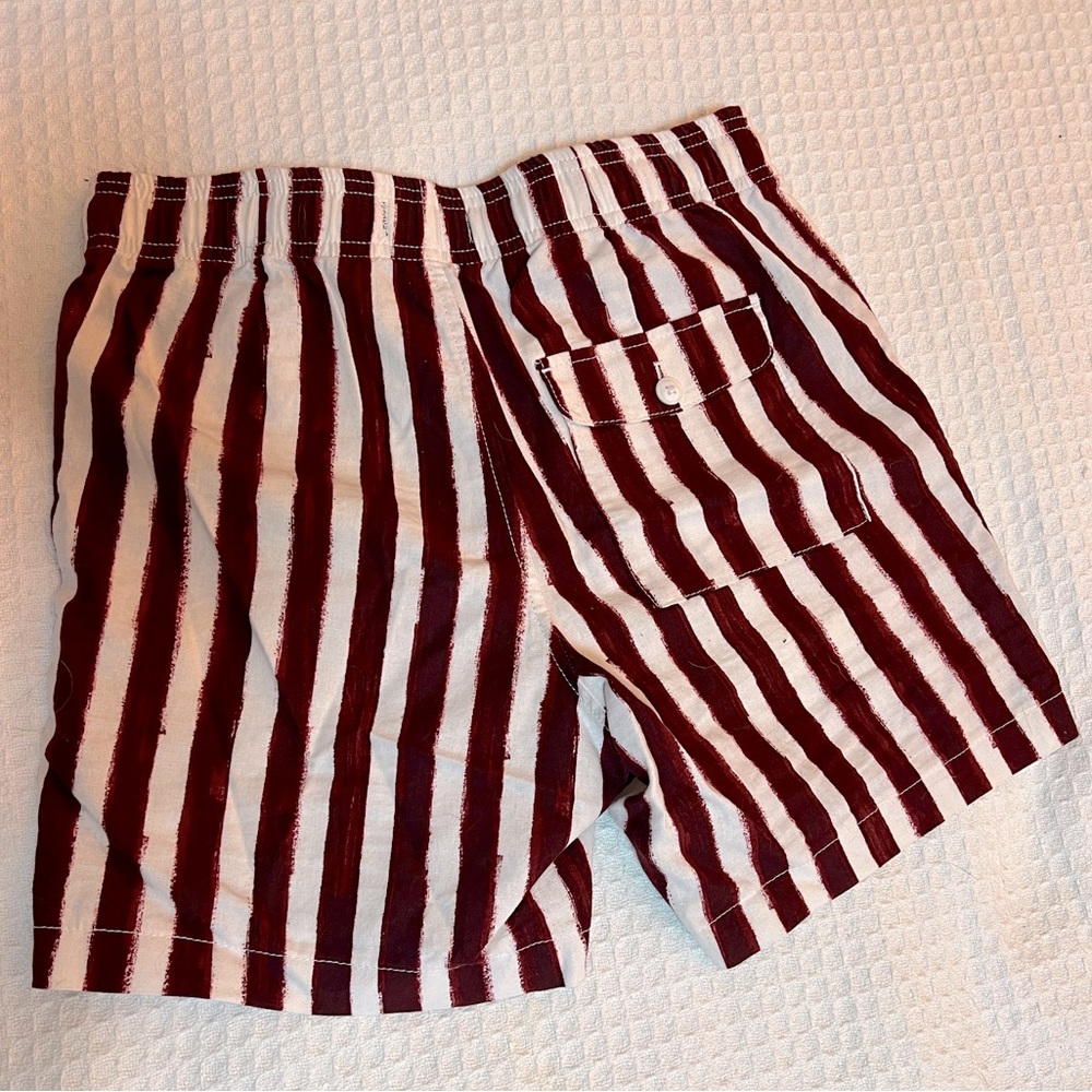 Express Shorts - Picture 2 of 2